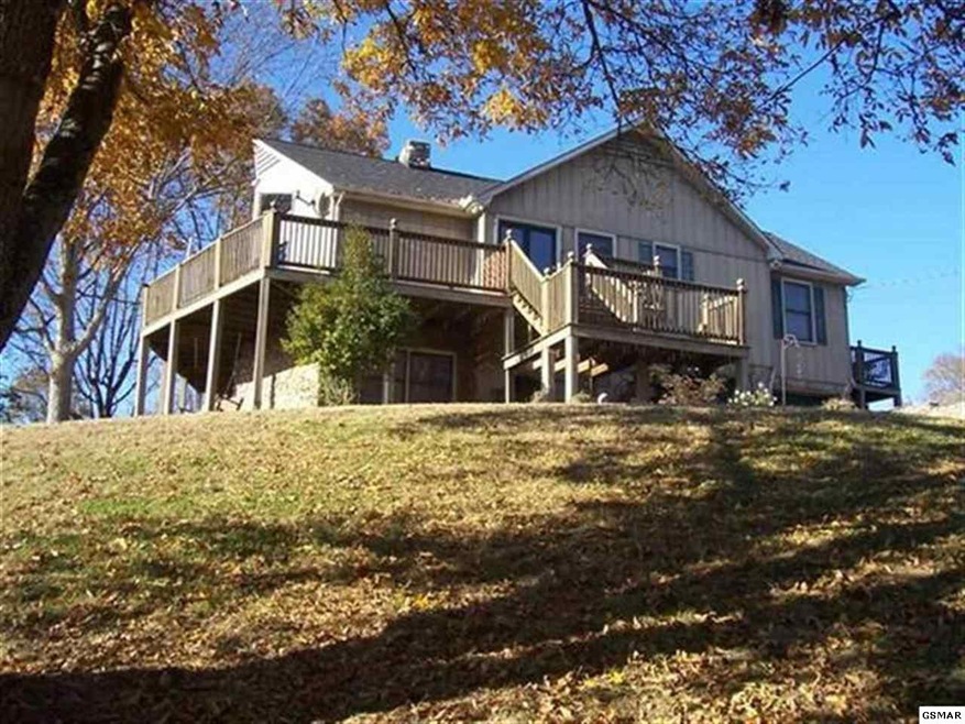 Main View