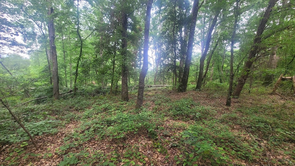 1429 Casey Creek Rd, Chesnee, SC 29323 - photo 1