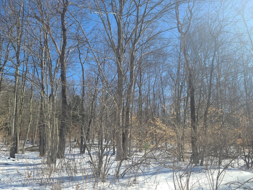 0 T 644 unit PM-95106, Pocono Lake, PA 18347 - photo 1