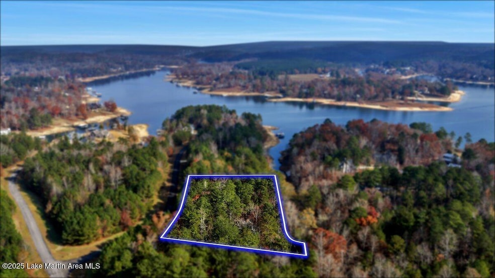 58 Long Point Rd, Double Springs, AL 35553 - photo 1