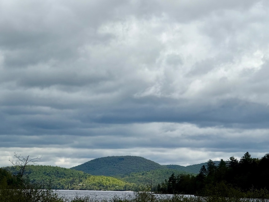 532 New York 8 unit 3, Piseco, NY 12139 - photo 1