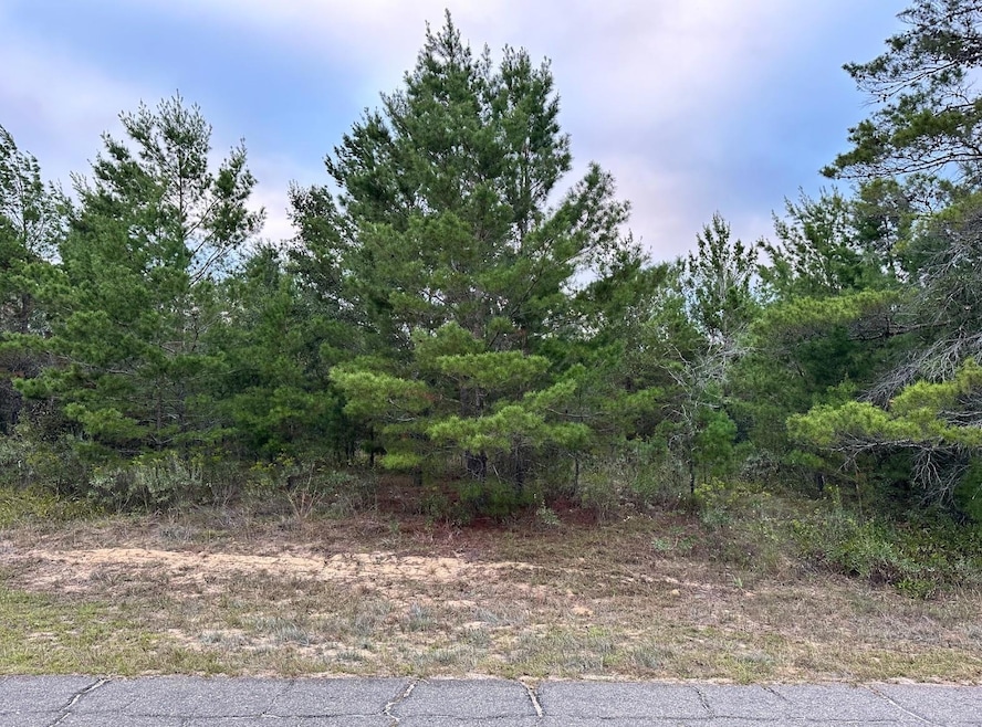 0 Colmart Dr, Chipley, FL 32428 - photo 1