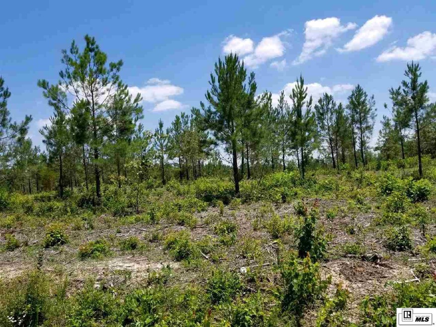00 New Mineral Springs Rd unit TRACT 7, Calhoun, LA 71225 - photo 1