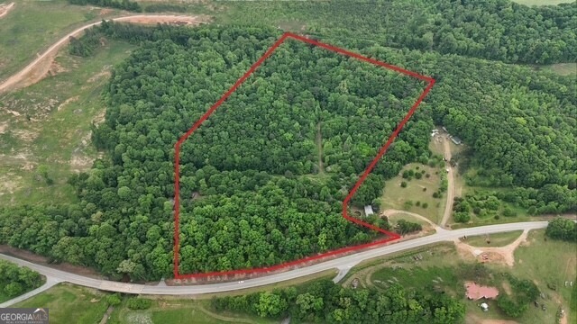 9509 E Highway 172, Bowman, GA 30624 - photo 1