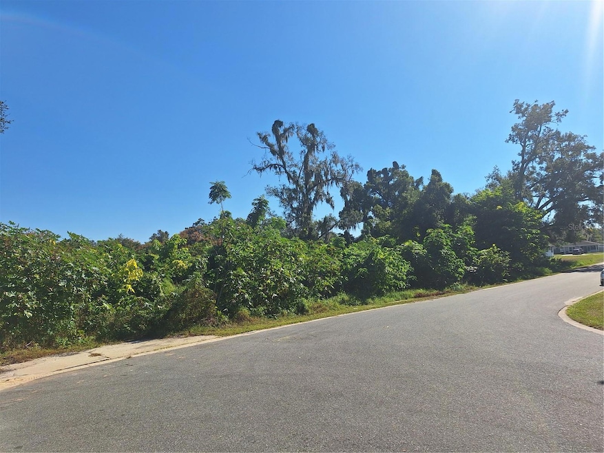 335 E 12th St, Apopka, FL 32703 - photo 1