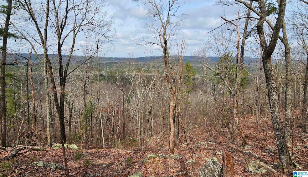 438 Stonegate Dr, Birmingham, AL 35242 - photo 1