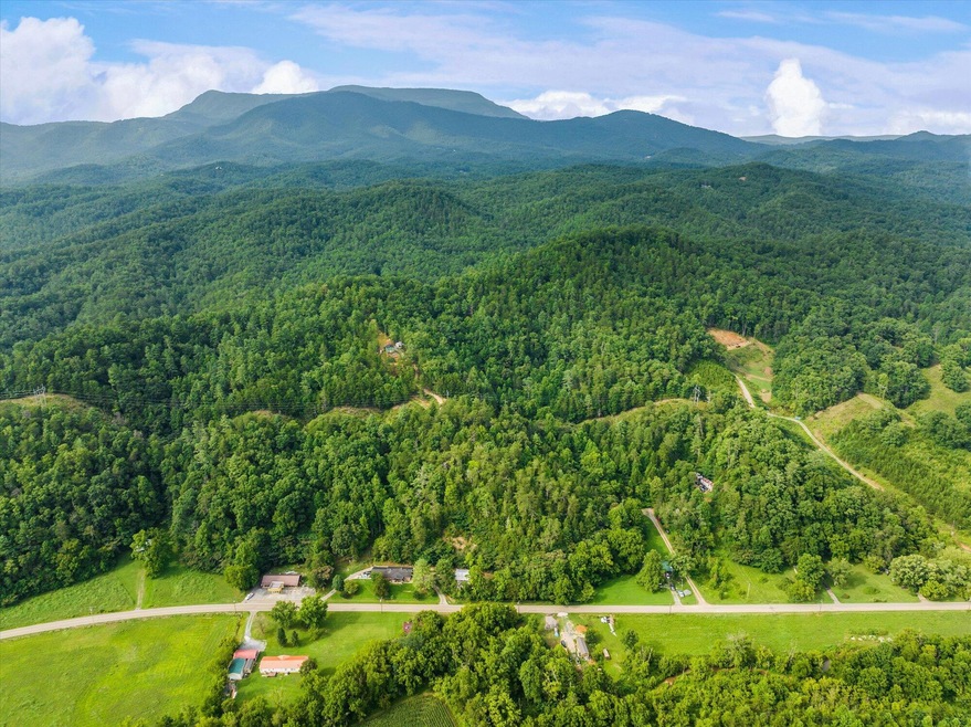 06-4443-Jones-Cove-Rd-Cosby-TN-6