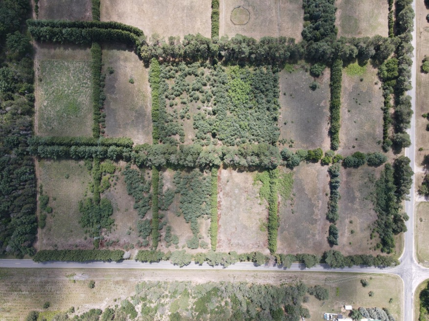 DJI_0774