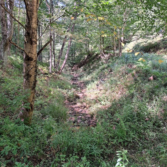 Doe Run Rd unit LotWP001, Galeton, PA 16922 - photo 1