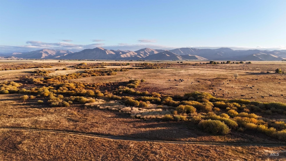 View of mountain background