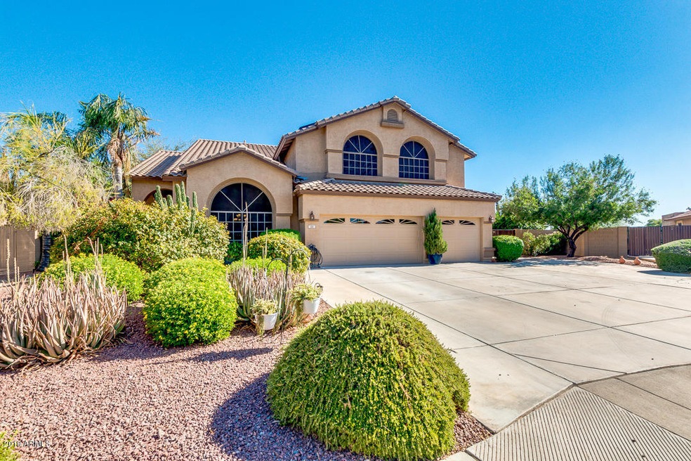 55 E Lowell Ave, Gilbert, AZ 85295 - photo 1