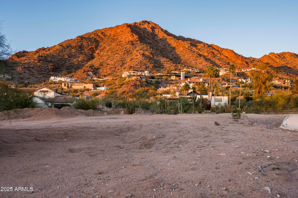 Camelback View