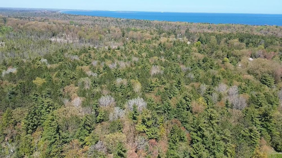 Us 23 Lot unit WP001, Ossineke, MI 48381 - photo 1