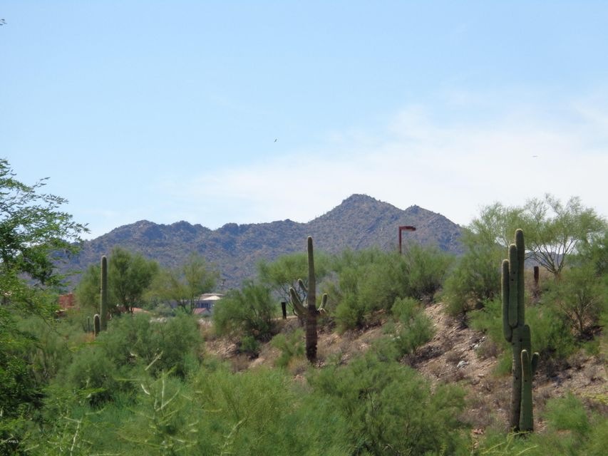 View of McDowell Mountains