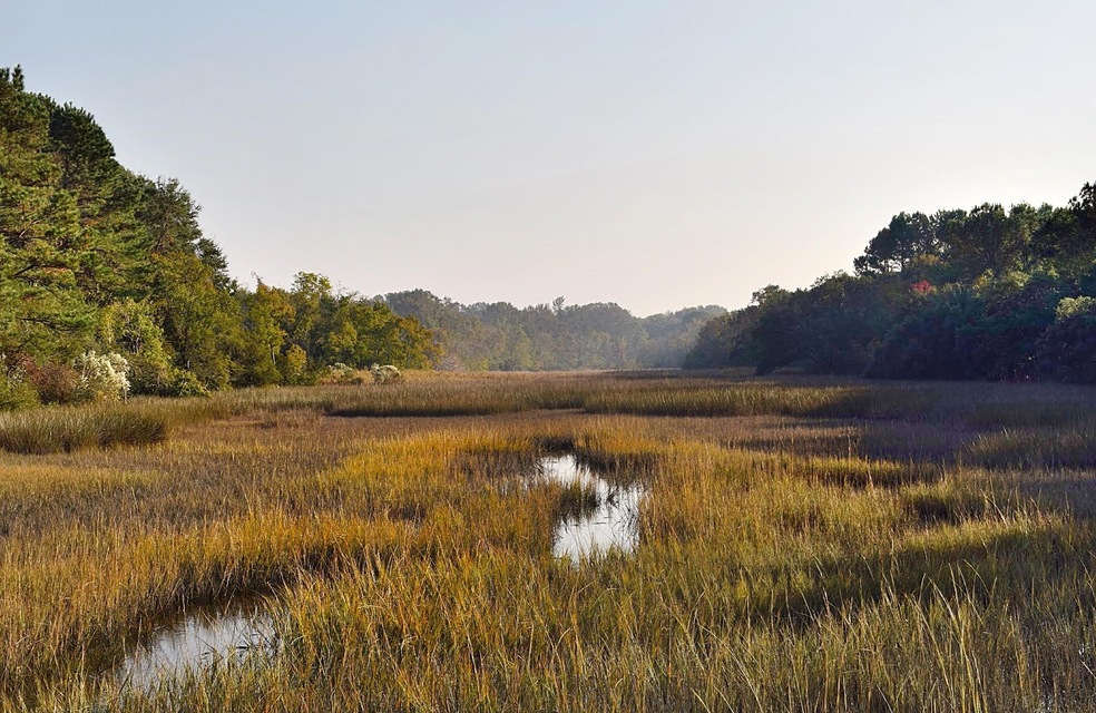 2 Burden Creek