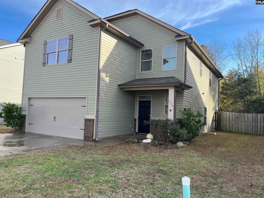 228 Bickley View Ct, Chapin, SC 29036 - photo 1