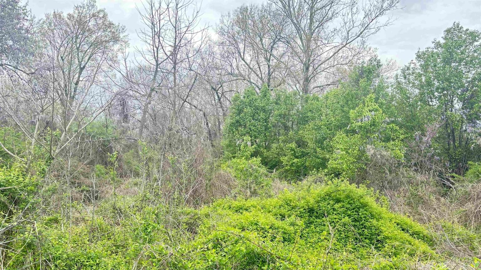 TBD E 33rd St, Little Rock, AR 72206 - photo 1