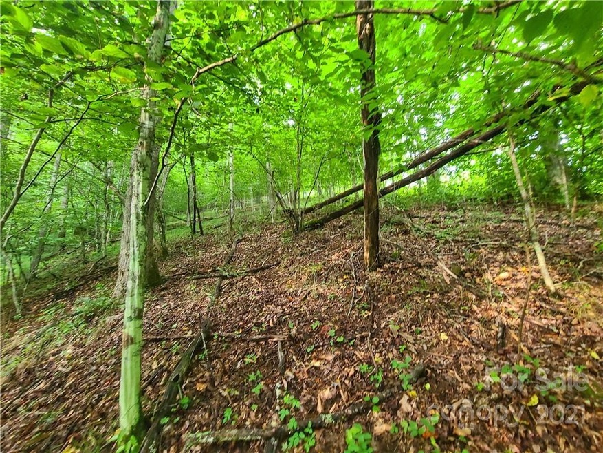 9999 Bent Creek Rd, Ramseytown, NC 28714 - photo 1