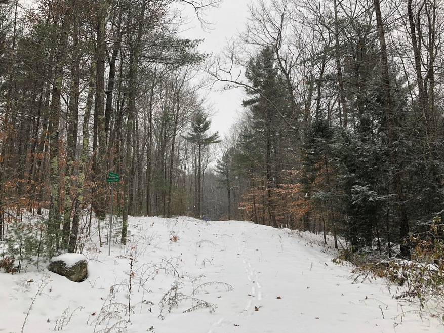 Moose Ridge_1