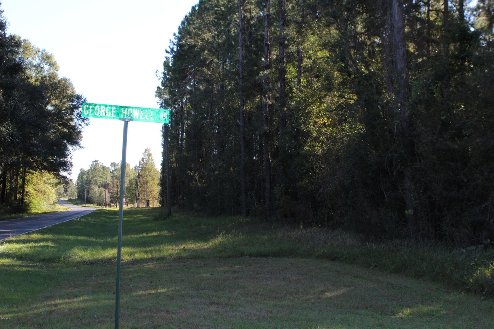 3.9 Basin-Central Rd, Lucedale, MS 39452 - photo 1