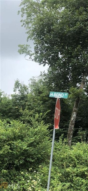 H H Bond Rd, Chatsworth, GA 30705 - photo 1