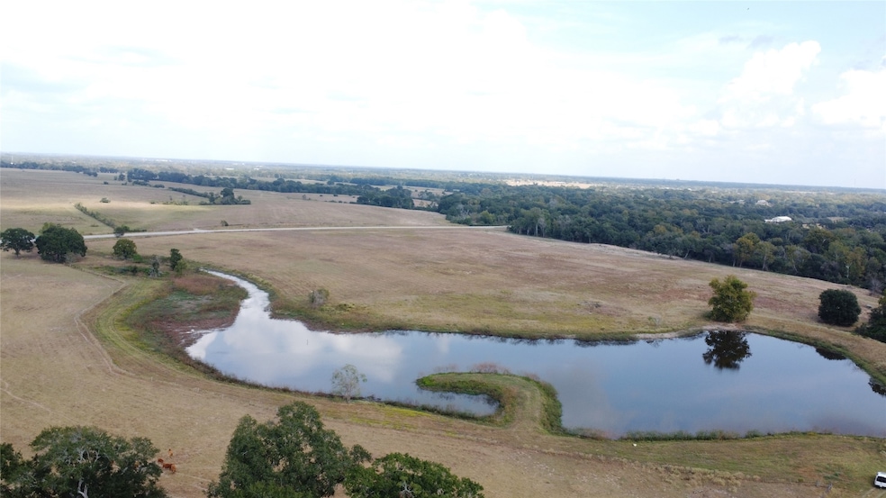 0 Farm To Market 3346, Hempstead, TX 77445 - photo 1