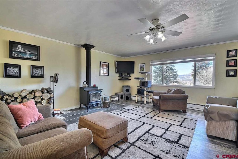 525 NW 7th St, Cedaredge, CO 81413 - photo 1