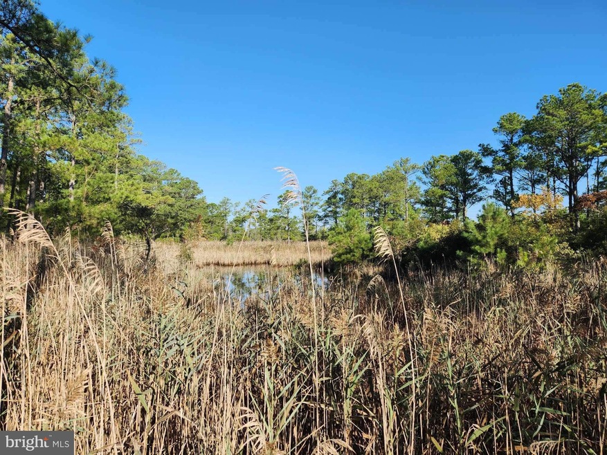 0 Wesley Rd unit MDDO2006240, Wingate, MD 21675 - photo 1