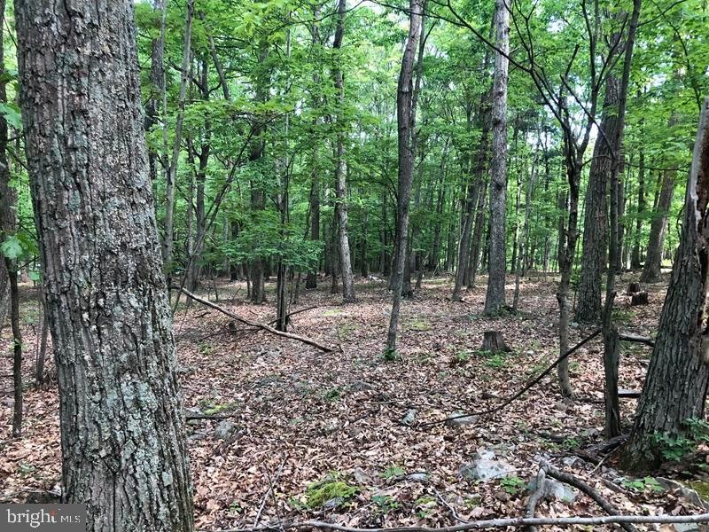 23 High Mountain View Rd, Three Chrs, WV 26757 - photo 1