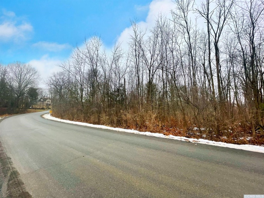 309 Tommy Trail, Coxsackie, NY 12015 - photo 1