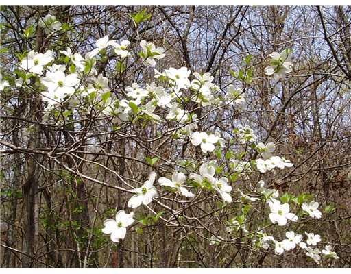 0 Cr 558 unit 652970, Colcord, OK 74338 - photo 1