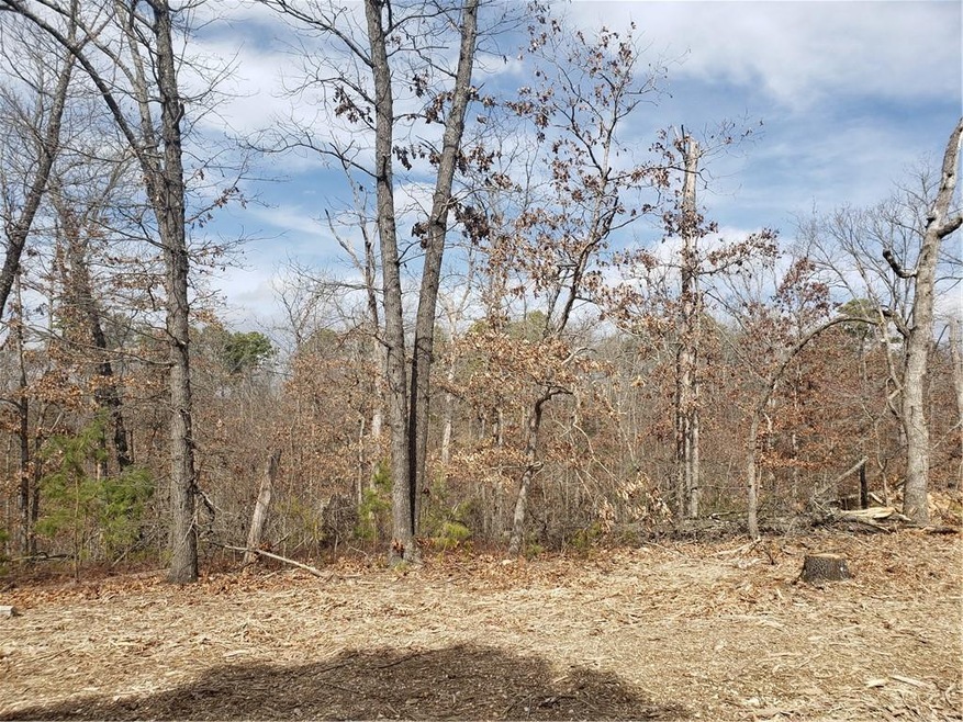 0 Buckden Ln unit 1210435, Bella Vista, AR 72715 - photo 1