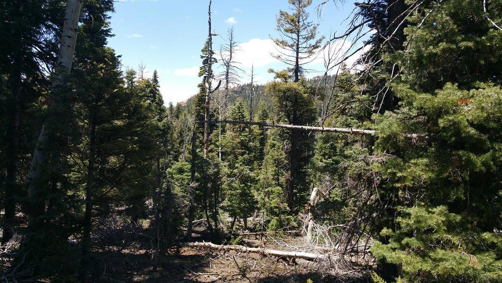 930 W Shale Cir unit ZVME E-130, Duck Creek Village, UT 84762 - photo 1