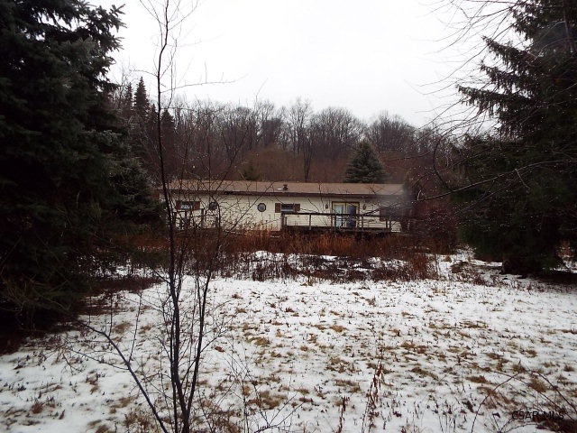 Main View