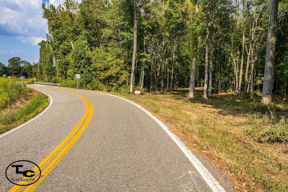 0 Tennessee 125, Henderson, TN 38340 - photo 1