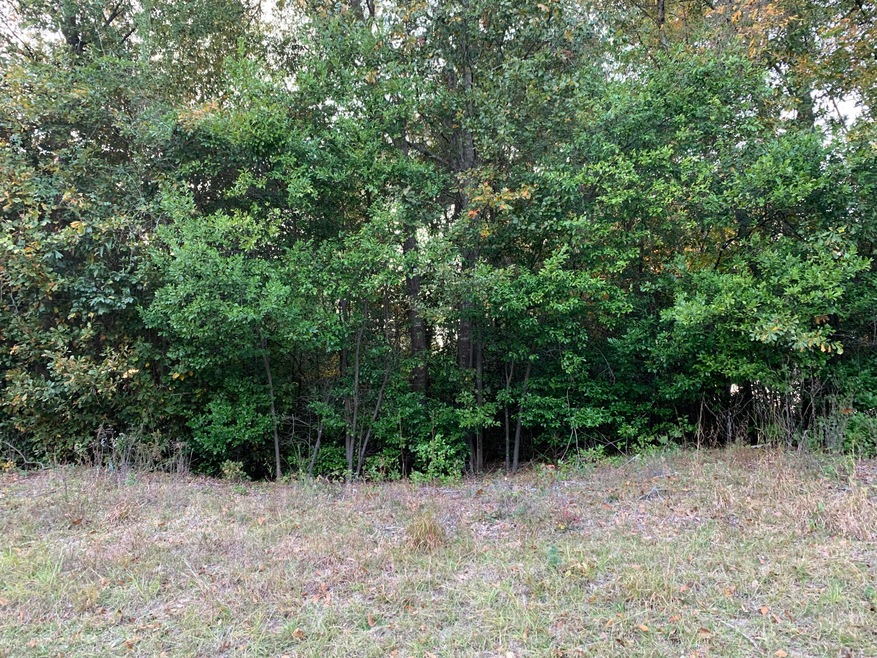 4655 Massey Rd, Macon, GA 31206 - photo 1