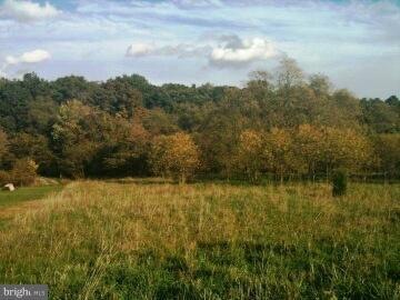 0 Titania unit 1003235734, Gerrardstown, WV 25420 - photo 1