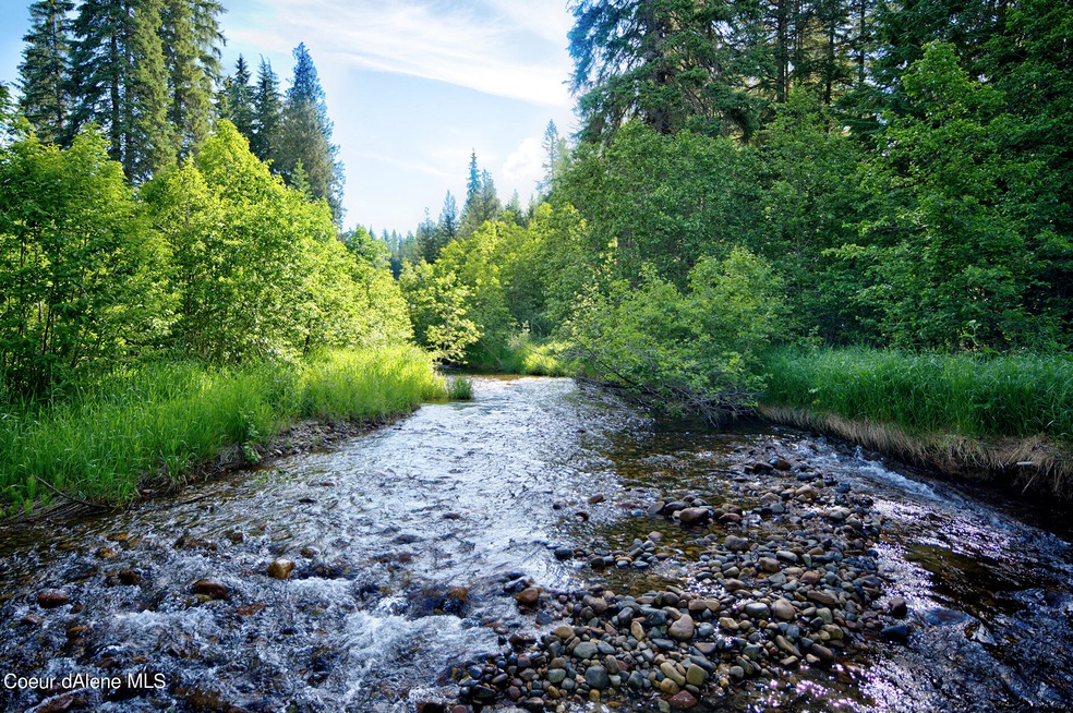 Year round creek