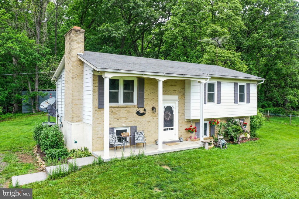 451 Calamus Ln, Strasburg, VA 22657 - photo 1