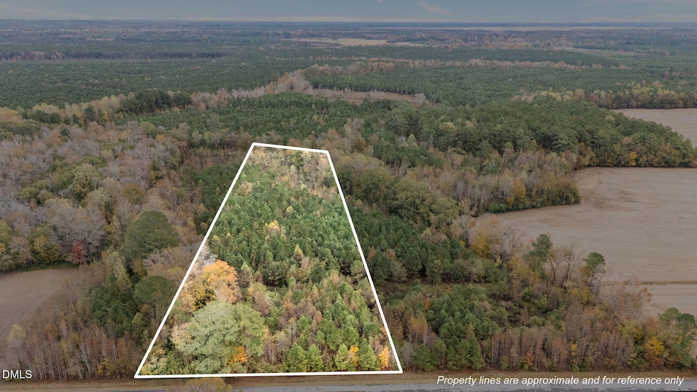 0 Sheppard Mill Rd, Stokes, NC 27884 - photo 1