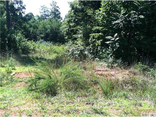 111 Houpe Ridge Ln unit 31, Statesville, NC 28625 - photo 1