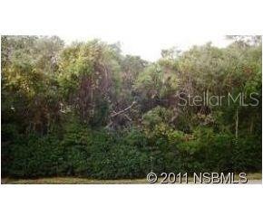 0 Quail Ranch Rd unit MFRNS1010543, New Smyrna Beach, FL 32168 - photo 1