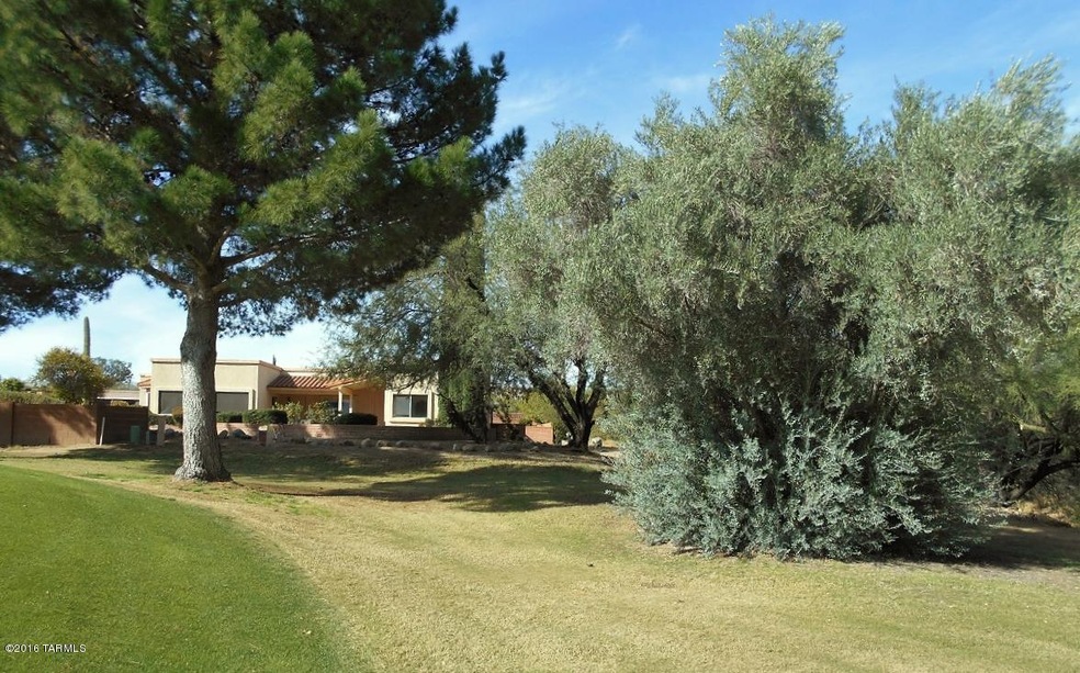 Backs up to singing birds