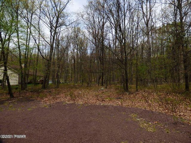 118 Surrey Dr, Blooming Grove Township, PA 18428 - photo 1