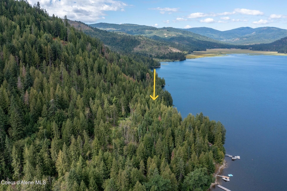 Shoreline Arrow 4