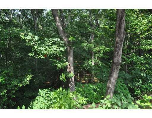 0 Chestnut Hill Rd unit 1016409, Glocester, RI 02814 - photo 1