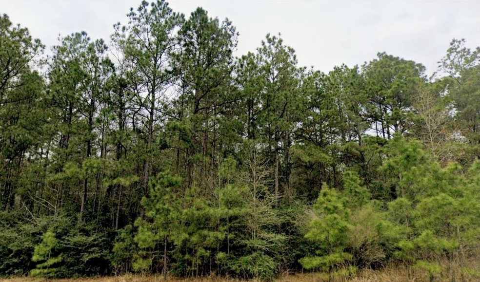 15572 Intrepid Ln, Willis, TX 77378 - photo 1