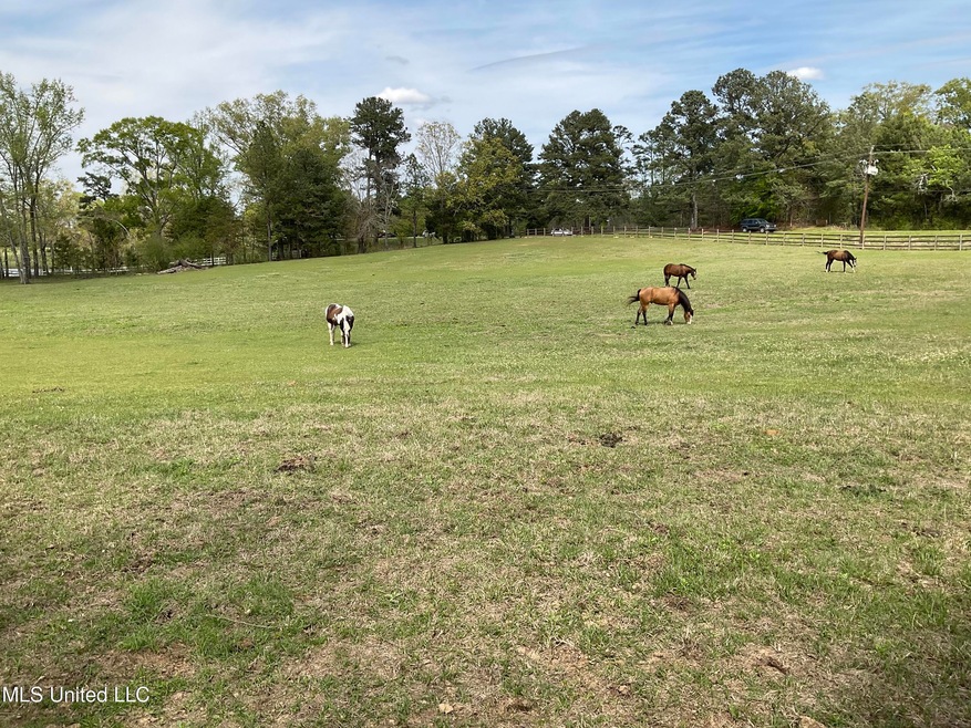 Pasture
