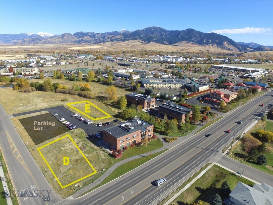 1001 W Oak St unit E, Bozeman, MT 59715 - photo 1