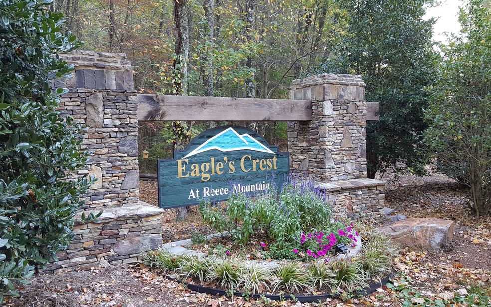 LT 39 Reece Mountain Rd, Ellijay, GA 30540 - photo 1